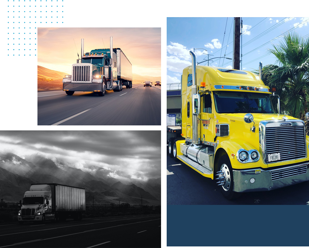 Freight Shipping Companies